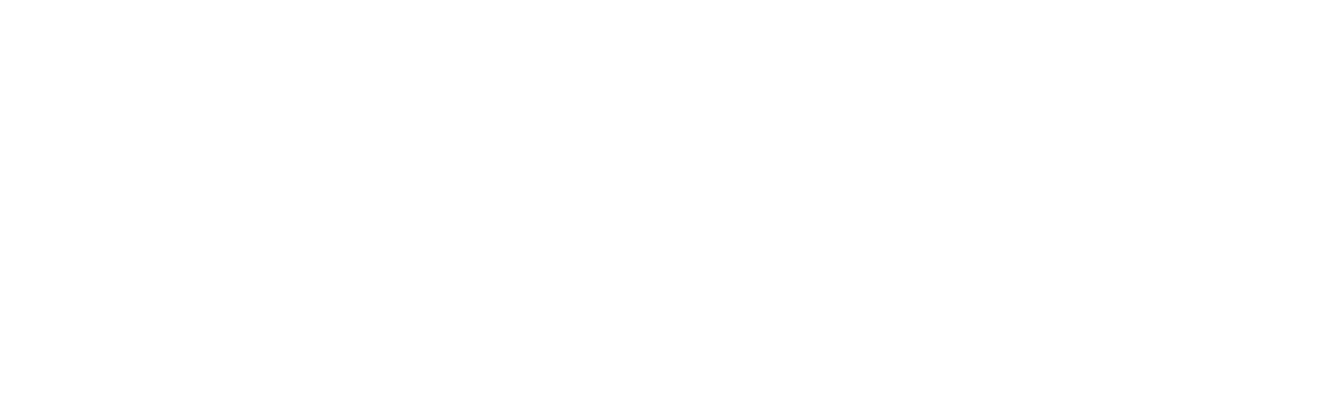 Logo White